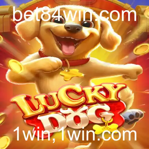 Explorando o Jogo LuckyDog e a Experiência de 1win.com