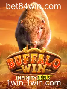 Explorando o Fascinante Mundo do Jogo BuffaloWin